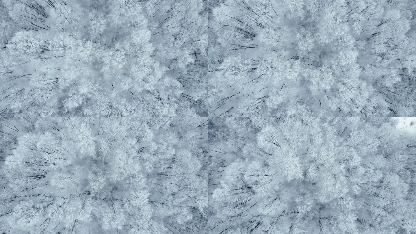 冬季天线。飞越被雾覆盖的雪山。