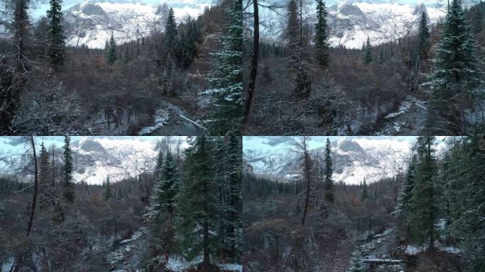 冬季四姑娘山航拍雪景森林雪山