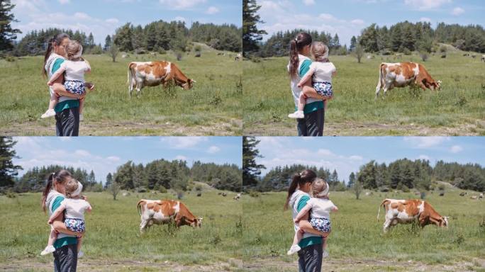 母亲给她的孩子看一群自由放牧的奶牛。露天放牧。