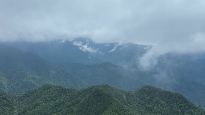 龙岩天宫山地区群山森林航拍合集