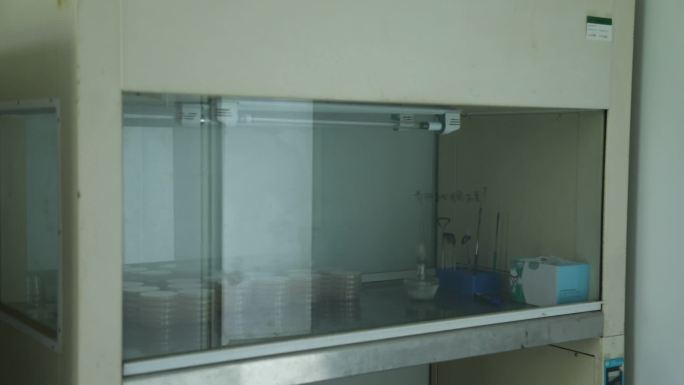 动物实验室 试验台 设备 场景 药剂仪器