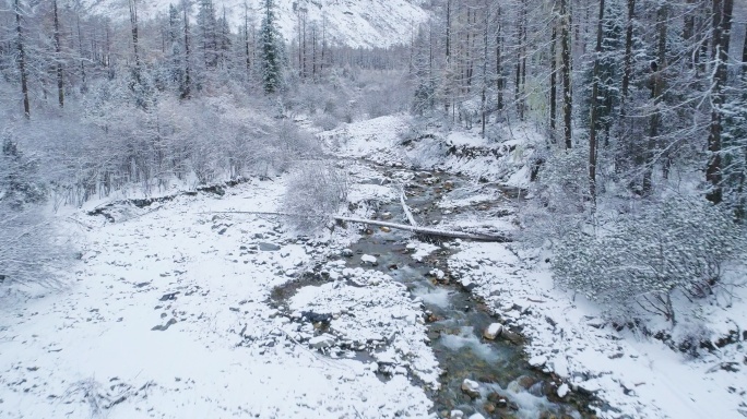冬天航拍四姑娘山双桥沟雪景森林小溪白雪