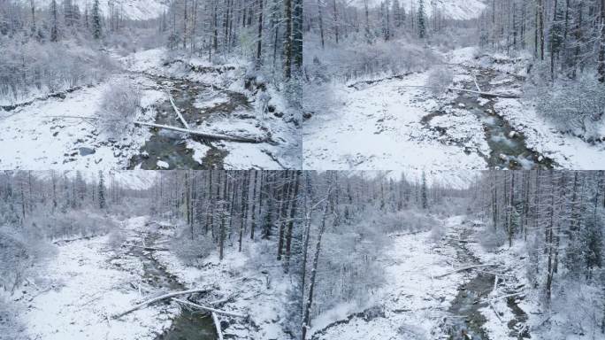 冬天航拍四姑娘山双桥沟雪景森林小溪白雪