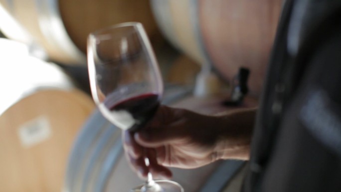 葡萄园-从橡木桶中品尝葡萄酒