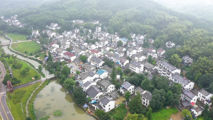 竹海 山村 丘陵