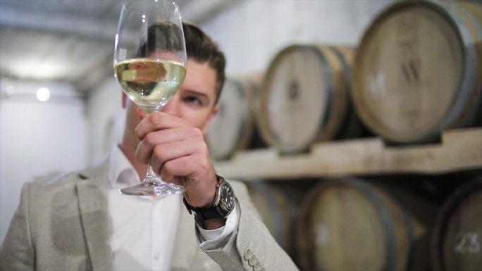 酒庄老板在酒窖里检查葡萄酒的质量和库存，周围是装有优质葡萄酒的木桶。定期检查酒窖和品酒。