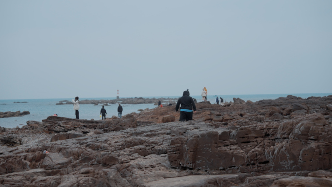 海边游客灯塔海鸥