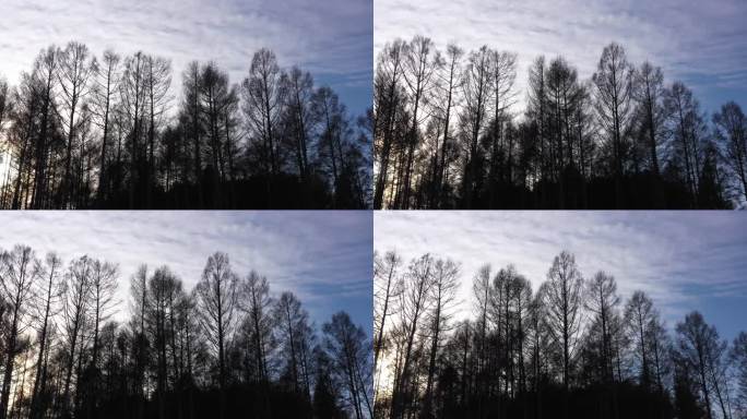 行驶在雪原路途的汽车车窗视角