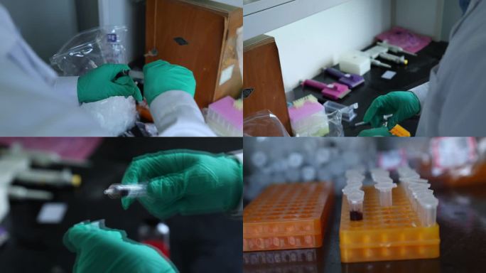 动物实验 血液检测 血凝实验 取细胞