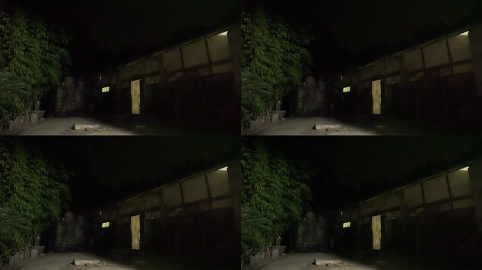 夜晚农家夜景丨4K丨原创实拍