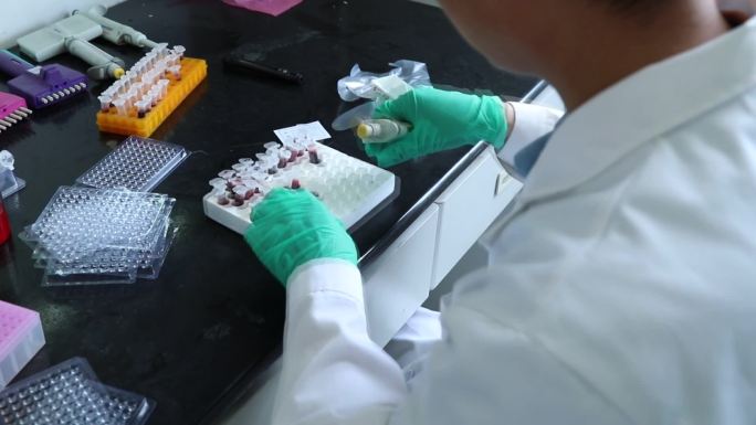 动物实验 血液检测 血凝实验 做标志