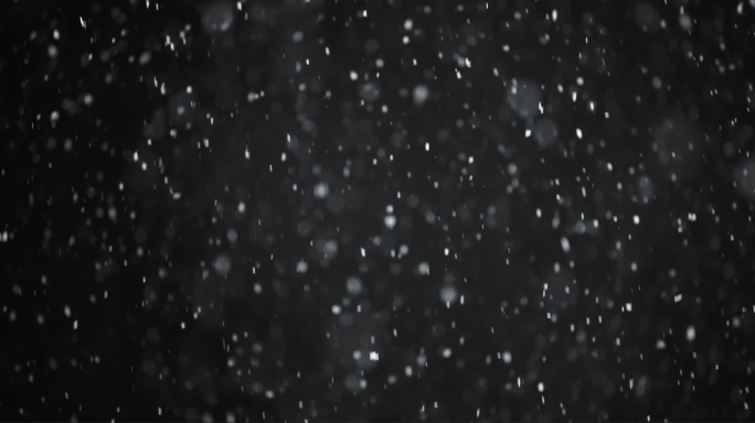 夜景下雪雪花下落实拍
