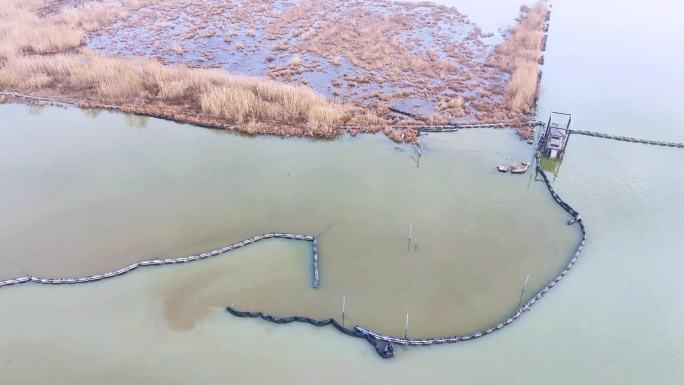 长临河湿地风光