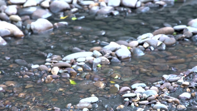 挖掘机河道疏浚清淤