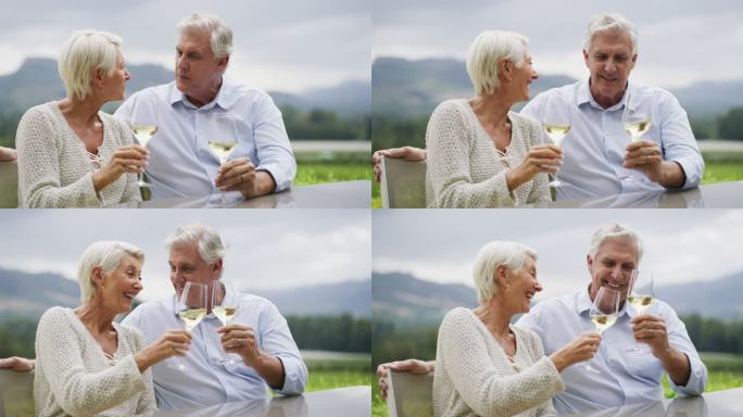 退休夫妇在葡萄园品尝葡萄酒，在大自然中庆祝他们的周年纪念日。年长的丈夫和妻子在农场边喝酒边聊天边敬酒