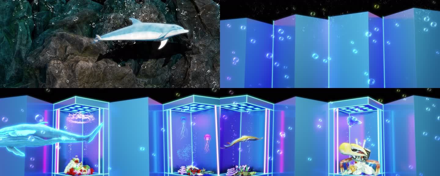 裸眼3D 石头 破碎 海豚 海底生物