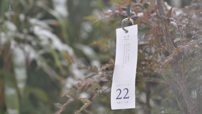 小雪 节气 11月22日