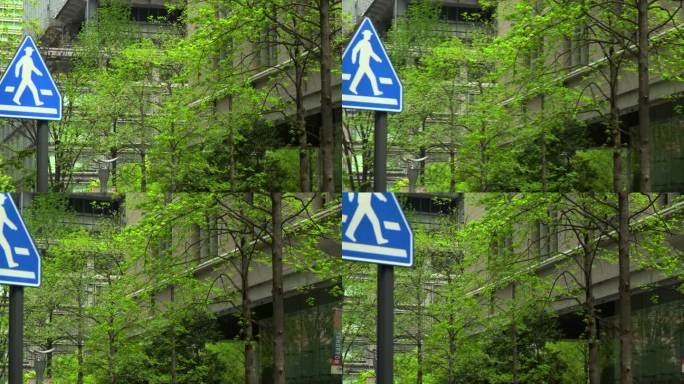 人行横道的标志。现代办公楼和树木