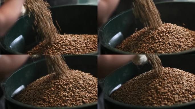 特写：老人和他的工人将生咖啡豆倒在储物桶上，用勺子称重并混合