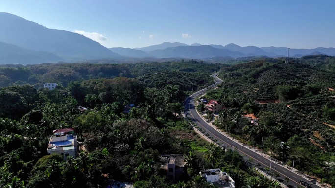 橡胶林山涧公路空镜