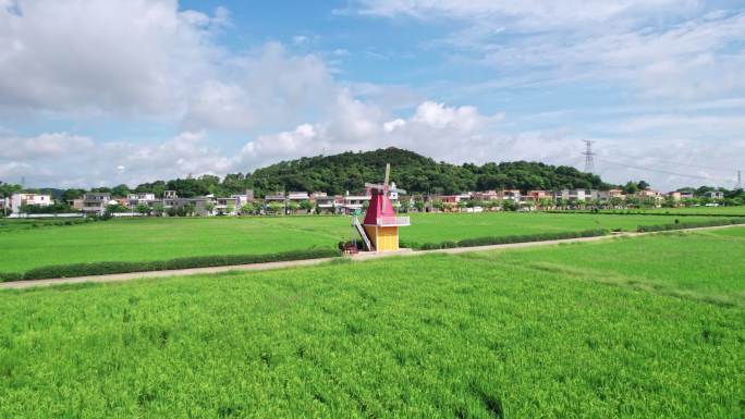夏日里绿油油的稻田风车美丽的乡村田野航拍