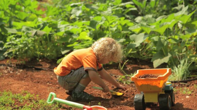 小男孩在工作国外小男孩婴幼儿菜地挖沙子