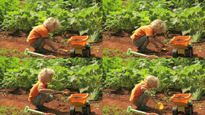 小男孩在工作国外小男孩婴幼儿菜地挖沙子
