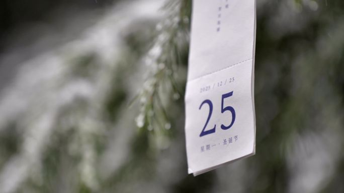 圣诞节  12月25日