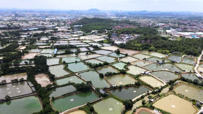 航拍田野乡村 小镇日出  美丽风光