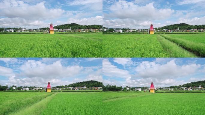 夏日里绿油油的稻田风车美丽的乡村田野航拍