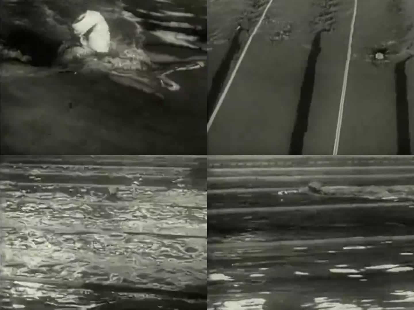 50年代运动员 游泳比赛 游泳竞赛