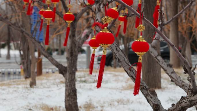 雪景 红灯笼 春节 公园 美景 过年