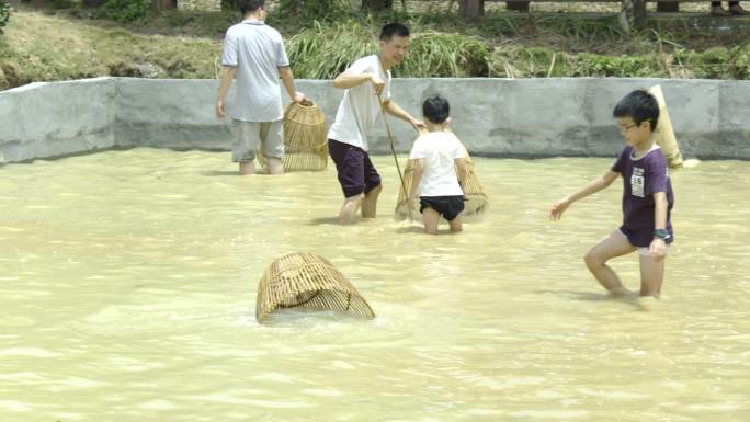 小孩子玩耍 水塘摸鱼