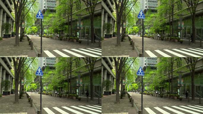 人行横道的标志。现代办公楼和树木
