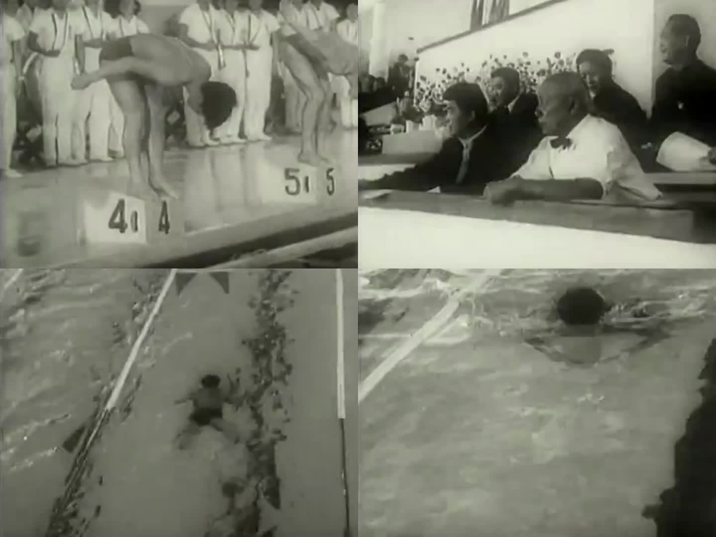50年代运动员 游泳比赛