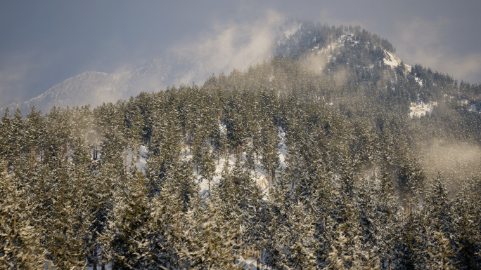 林海雪原冬季雪景航拍