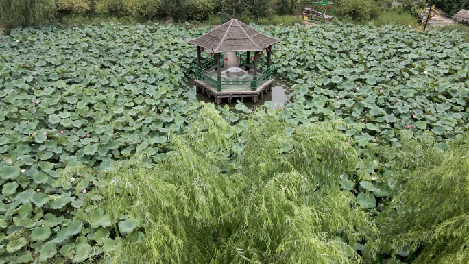 布艺 香云纱 传统工艺 绿植