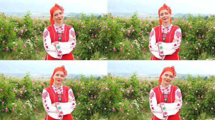 4k中年微笑的妇女，穿着保加利亚传统民俗服装，漫步在盛开的大马士革油玫瑰丛中。