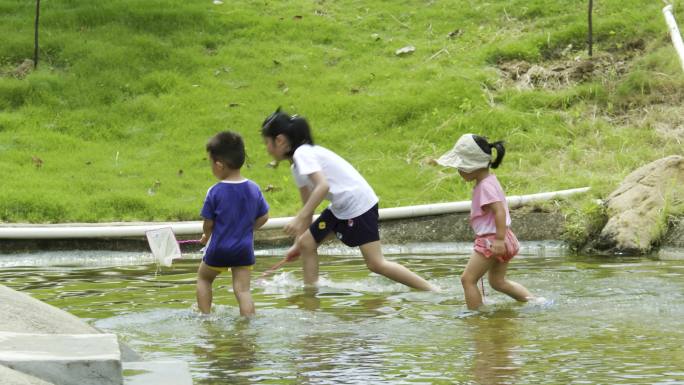 小孩子玩耍 水塘摸鱼