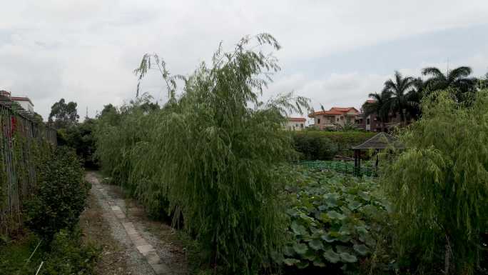 布艺 香云纱 传统工艺 绿植