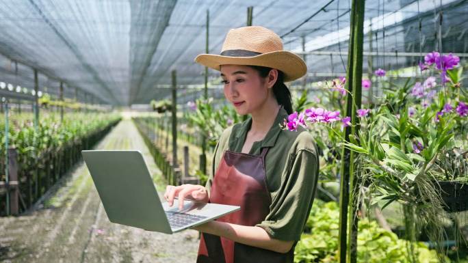年轻的亚洲女农民使用无线技术工作，并检查兰花农场温室的质量控制。