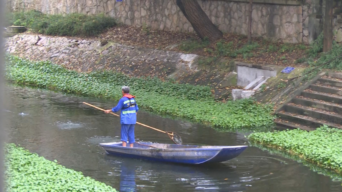 河道 治理 绿化