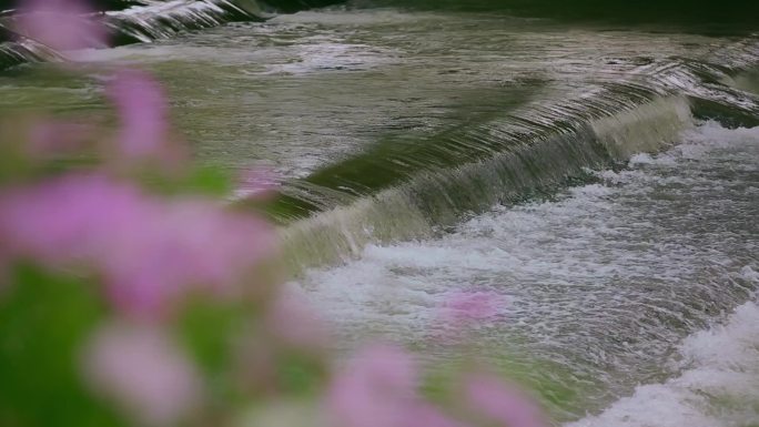 河道流水视频