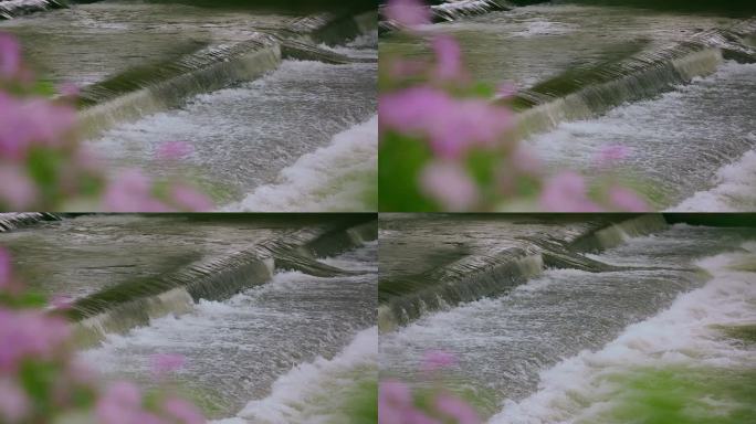 河道流水视频