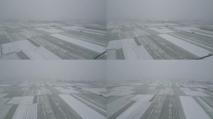 长江中下游雪景航拍风光