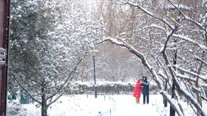 瑞雪兆丰年  下雪慢镜头