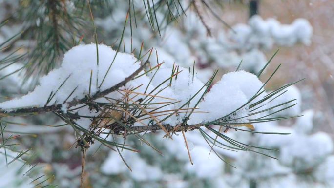 升格 下雪 雪花 下雪慢镜头