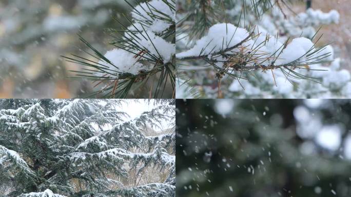 升格 下雪 雪花 下雪慢镜头