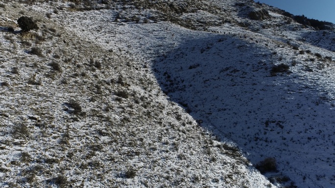 雪山岩样