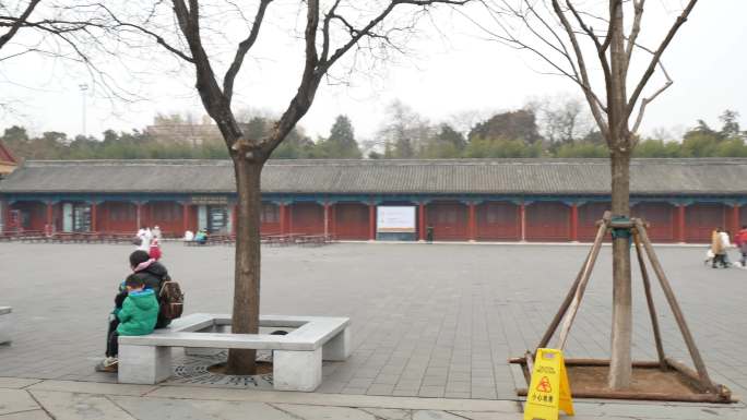 游览北京故宫博物院